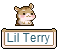 Pet Lil Terry