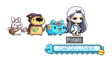 CAPOO's Grand Dungeon Adventure final effect and medal