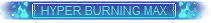 Aussehen der Hyper-Burning-MAX-Medaille